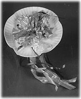 The Old Paper Plate Way